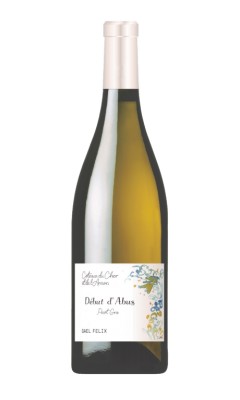 Début d'Abus