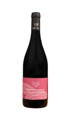 Louis de la Saussaye